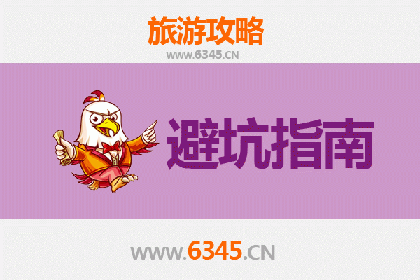 滨州阳信旅游全攻略：梨花之约与古韵探寻