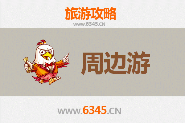 滨州阳信周边游攻略：探索鲁北风情，品味梨乡文化