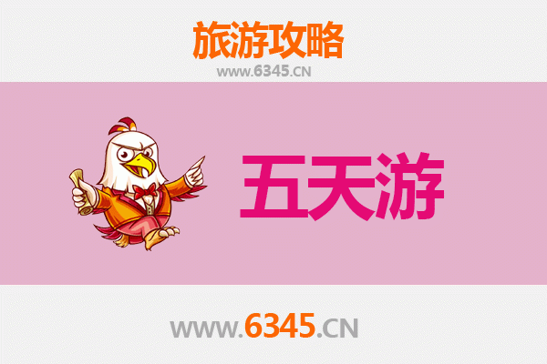 滨州阳信五天四夜深度游攻略：梨乡风情与美食全体验